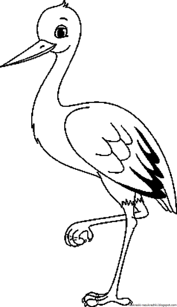Аист раскраска