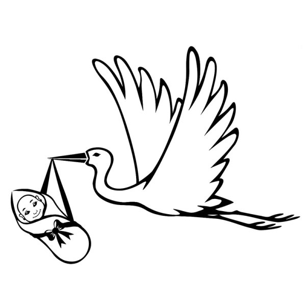 Аист раскраска для детей