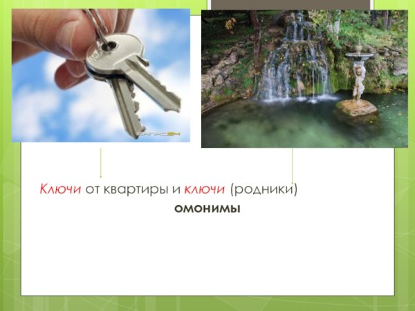 Омонимы ключ и ключ