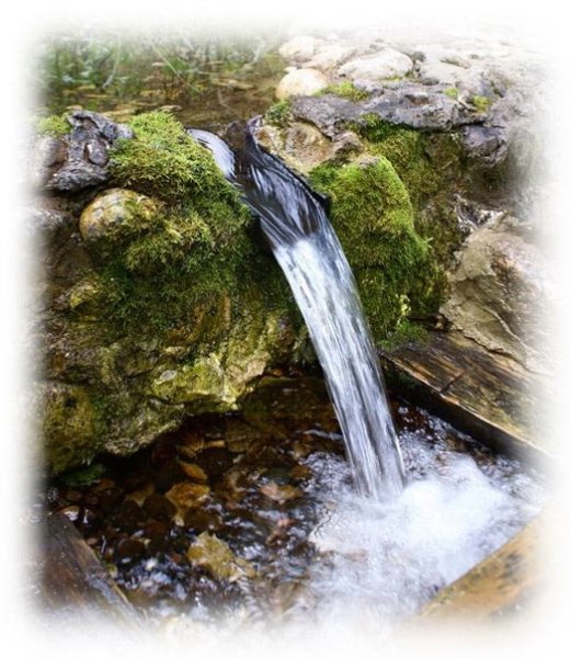 Родник для детей