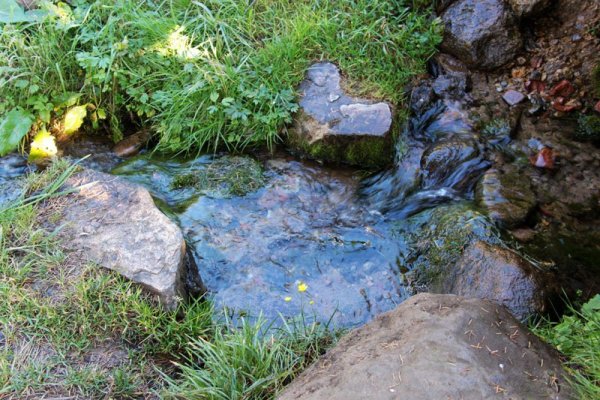 Ручей из родника