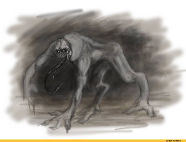 Мутанты из сталкера Снорк