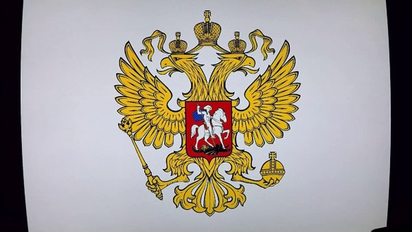 Герб России рисунок