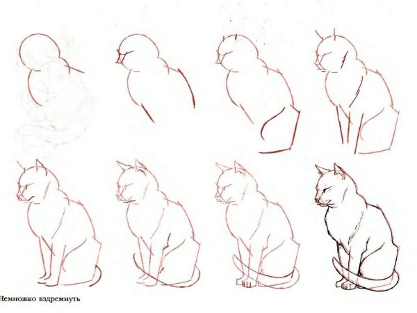Рисунок кошки поэтапно
