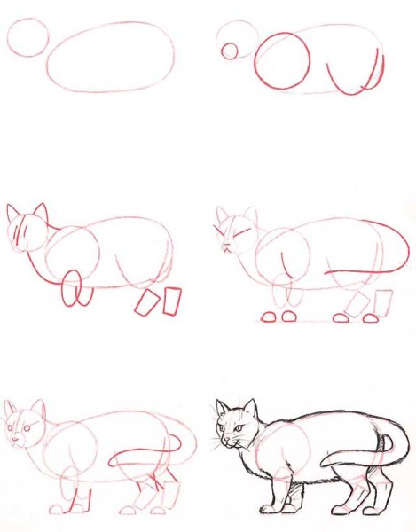 Как рисовать котенка
