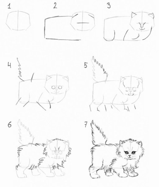 Последовательное рисование животных для детей