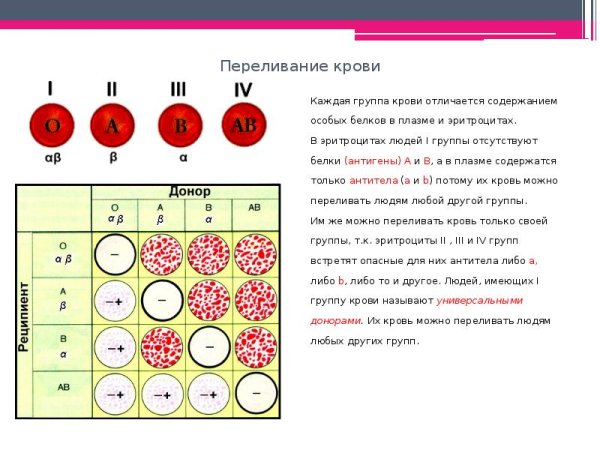Свертываемость крови группа крови биология 8 класс