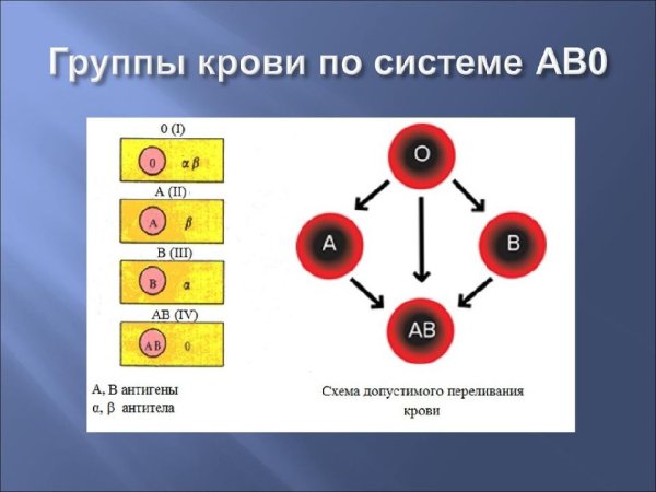 Система ab0 группы крови
