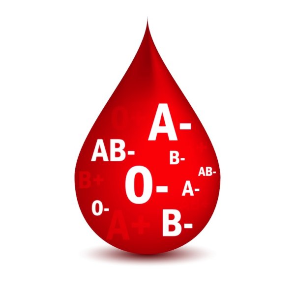 Группа крови вектор