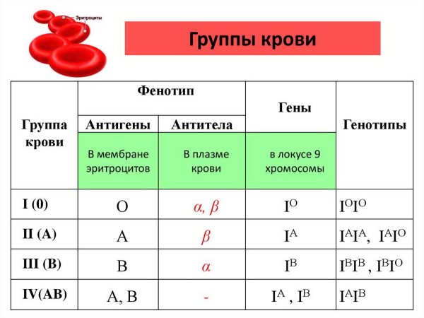 Схема группы крови резус-фактор