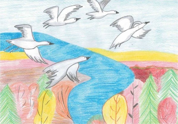 Рисунок на тему белые Журавли памяти