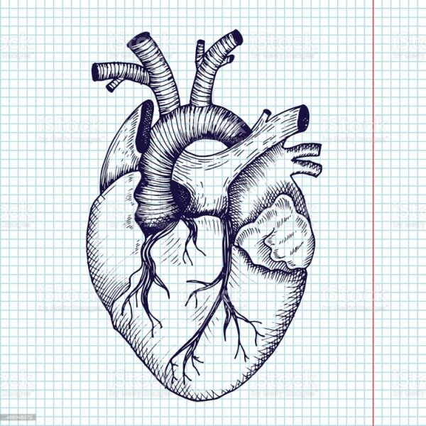 Рисунки для срисовки сердце