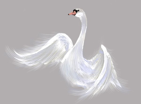 Лебедь рисунок