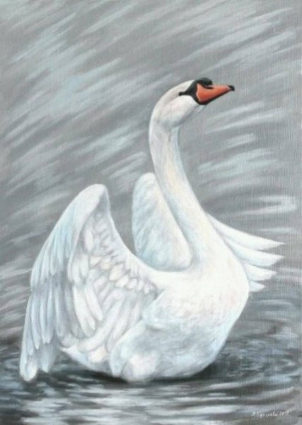 Лебедь раскраска