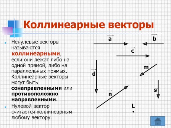 Коллинеарные и неколлинеарные векторы на плоскости