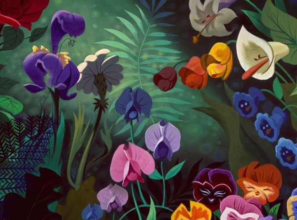 Цветы Алиса в тране чудес