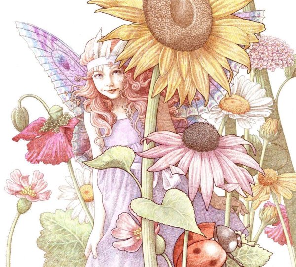 Иллюстратор Энн Ивонн Гилберт