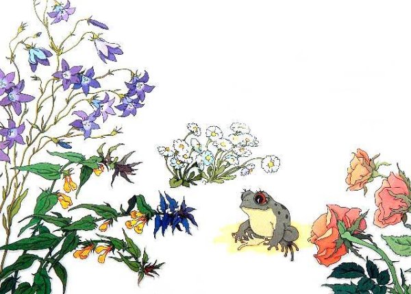 Сказка б Заходер .серая Звездочка.