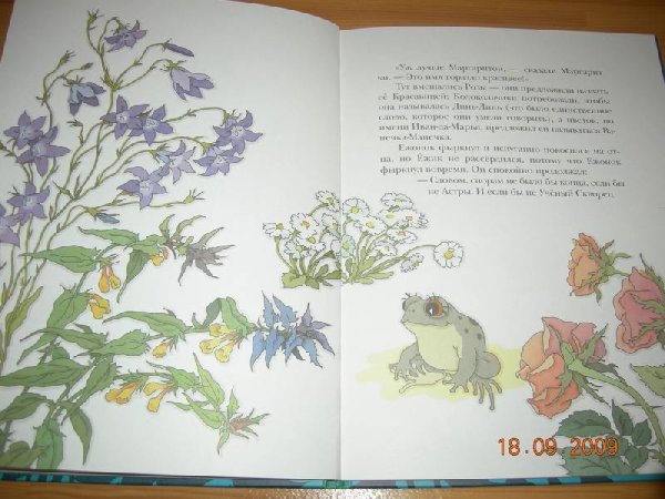 Заходер б.в. "серая Звездочка"