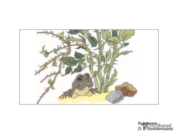 Серая Звёздочка Заходер иллюстрации