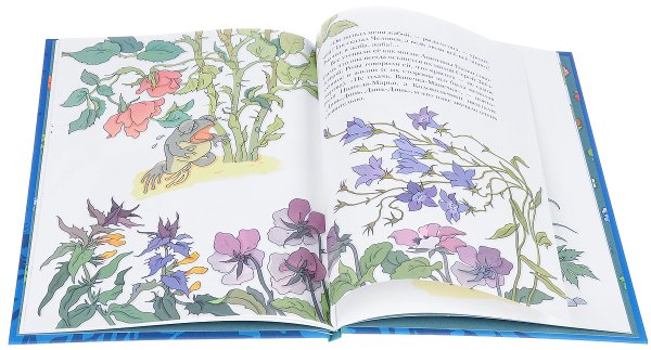 Лягушка серая Звездочка