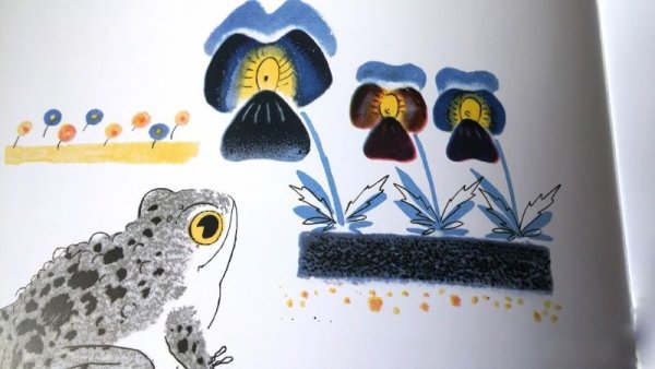 Заходер серая Звездочка книга