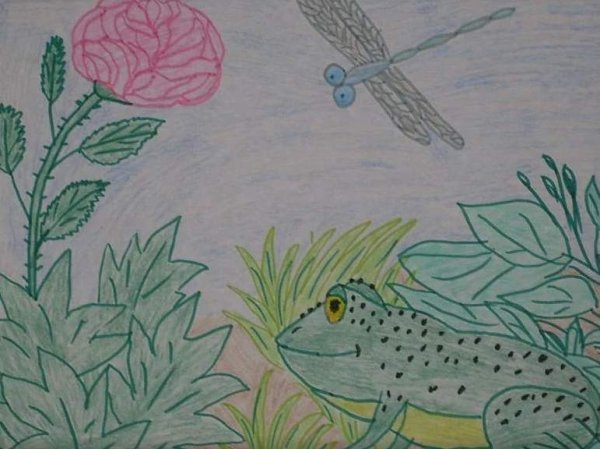 Серая Звёздочка Заходер