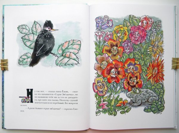 Серая Звёздочка книга