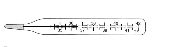 Термометр медицинский ртутный рисунок