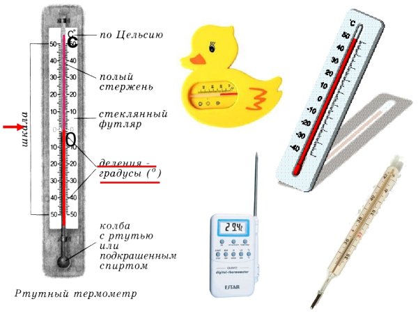 Термометр ртутный на белом фоне