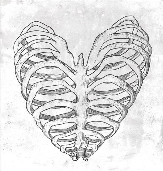 Сердце из ребер