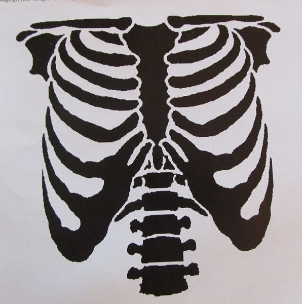 Кости Кощея грудная клетка