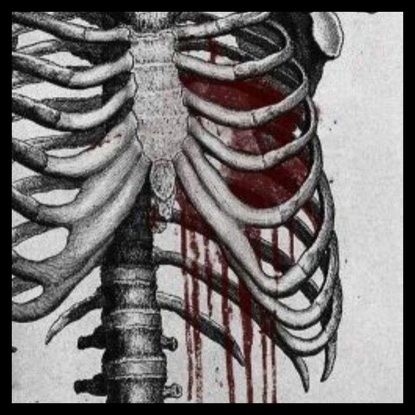 Строение грудной клетки сбоку