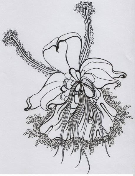 Фантазийный цветок Графика