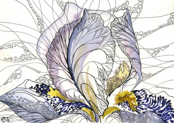 Стилизованные цветы Графика