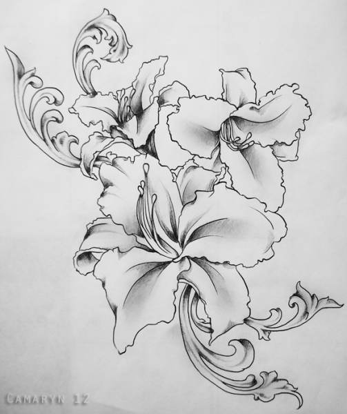 Лилии эскиз