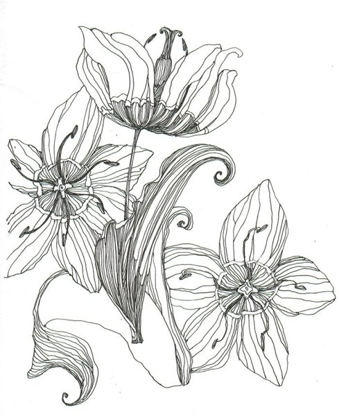 Графическое изображение цветов