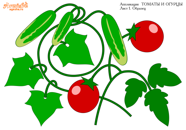 Аппликация помидор