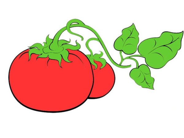 Пиктограмма помидор листья