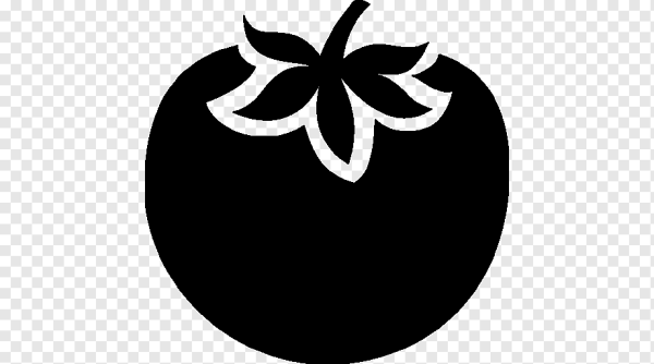 Раскраска веточка помидор