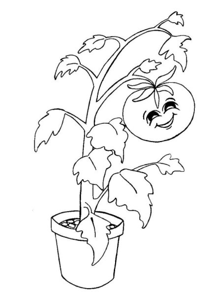 Помидорка трафарет