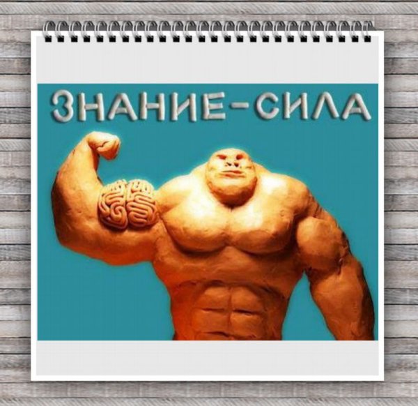 Знание разорвет цепи рабства