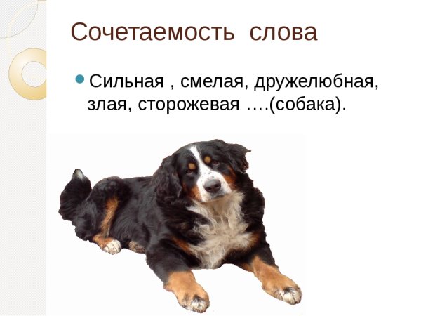 Сочетаемость слова собака