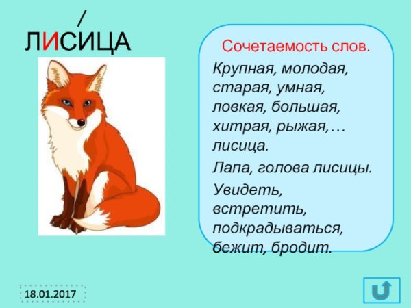 Фразеологизмы примеры
