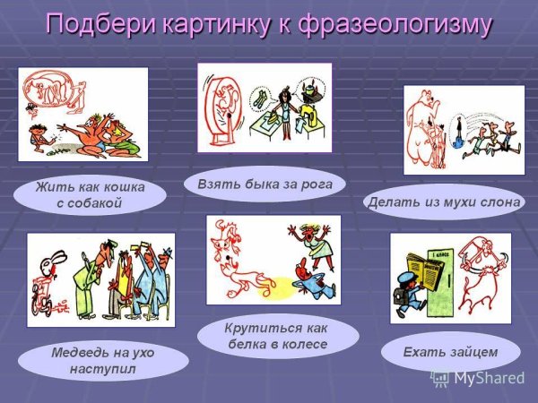 Фразеология и фразеологизмы