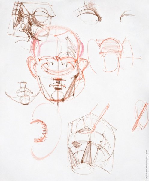 Александр Рыжкин анатомия головы