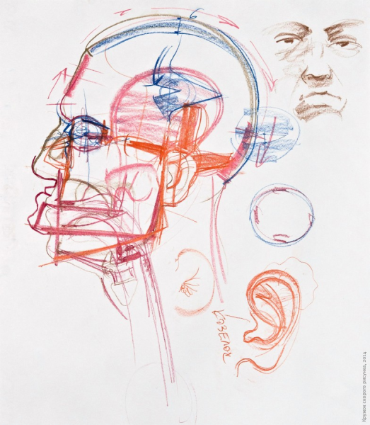 Рыжкин Александр анатомия