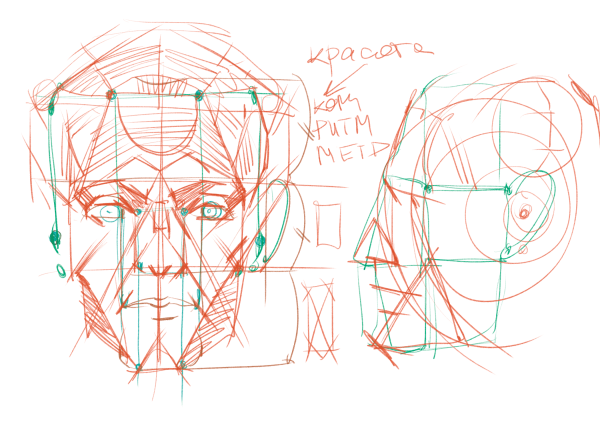 Пропорции головы человека Рыжкин