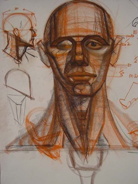 Рыжкин анатомия головы