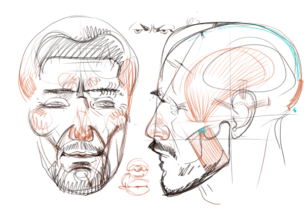 Рыжкин анатомия лица